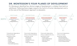 Diagram illustrating Dr. Montessori's four planes of development: Infancy, Childhood, Adolescence, and Maturity, detailing age ranges and key developmental focuses.