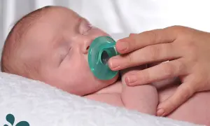 A hand gently offers a pacifier to a sleeping baby. Learn when to introduce a pacifier to a breastfed baby for optimal comfort.