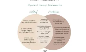 Venn diagram comparing Waldorf vs Montessori early childhood education, highlighting differences in play, literacy, and numeracy approaches.