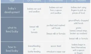 Chart shows when babies start to eat baby food: 6-8 months for pureed foods, 8-12 months for finger foods.