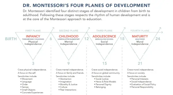 Diagram illustrating Dr. Montessori's four planes of development: Infancy, Childhood, Adolescence, and Maturity, detailing age ranges and key developmental focuses.
