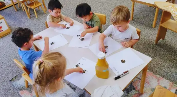 Children engage in child led learning, placing seeds on paper at a table.