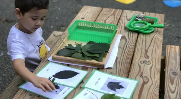 A young boy engages in Montessori outdoor activities, matching real leaves to identification cards on a wooden table.