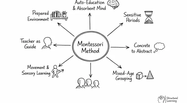 Diagram of the Montessori Method, highlighting key principles like prepared environment, auto-education, sensitive periods, concrete to abstract learning, mixed-age grouping, movement, sensory learning, and teacher as guide. This approach fosters holis...