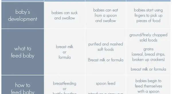 Chart shows when babies start to eat baby food: 6-8 months for pureed foods, 8-12 months for finger foods.
