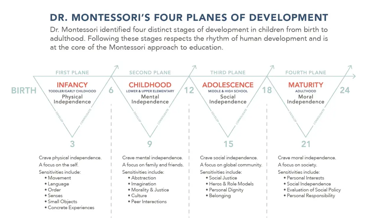 Diagram illustrating Dr. Montessori's four planes of development: Infancy, Childhood, Adolescence, and Maturity, detailing age ranges and key developmental focuses.