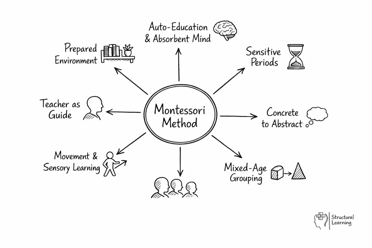 Diagram of the Montessori Method, highlighting key principles like prepared environment, auto-education, sensitive periods, concrete to abstract learning, mixed-age grouping, movement, sensory learning, and teacher as guide. This approach fosters holis...