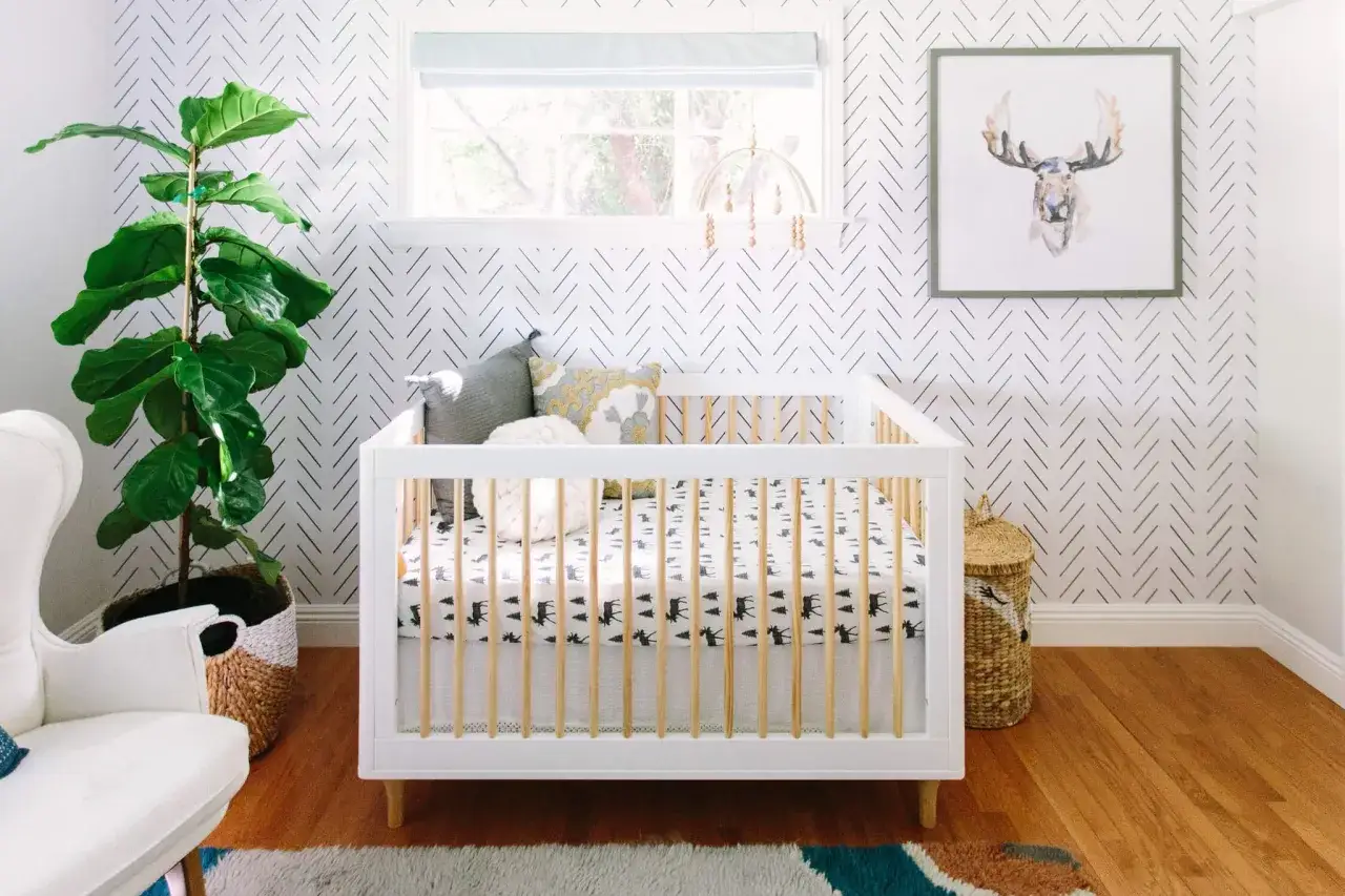 Modern baby boys nursery designs feature a white crib with moose bedding, a fiddle leaf fig plant, and a framed moose art.