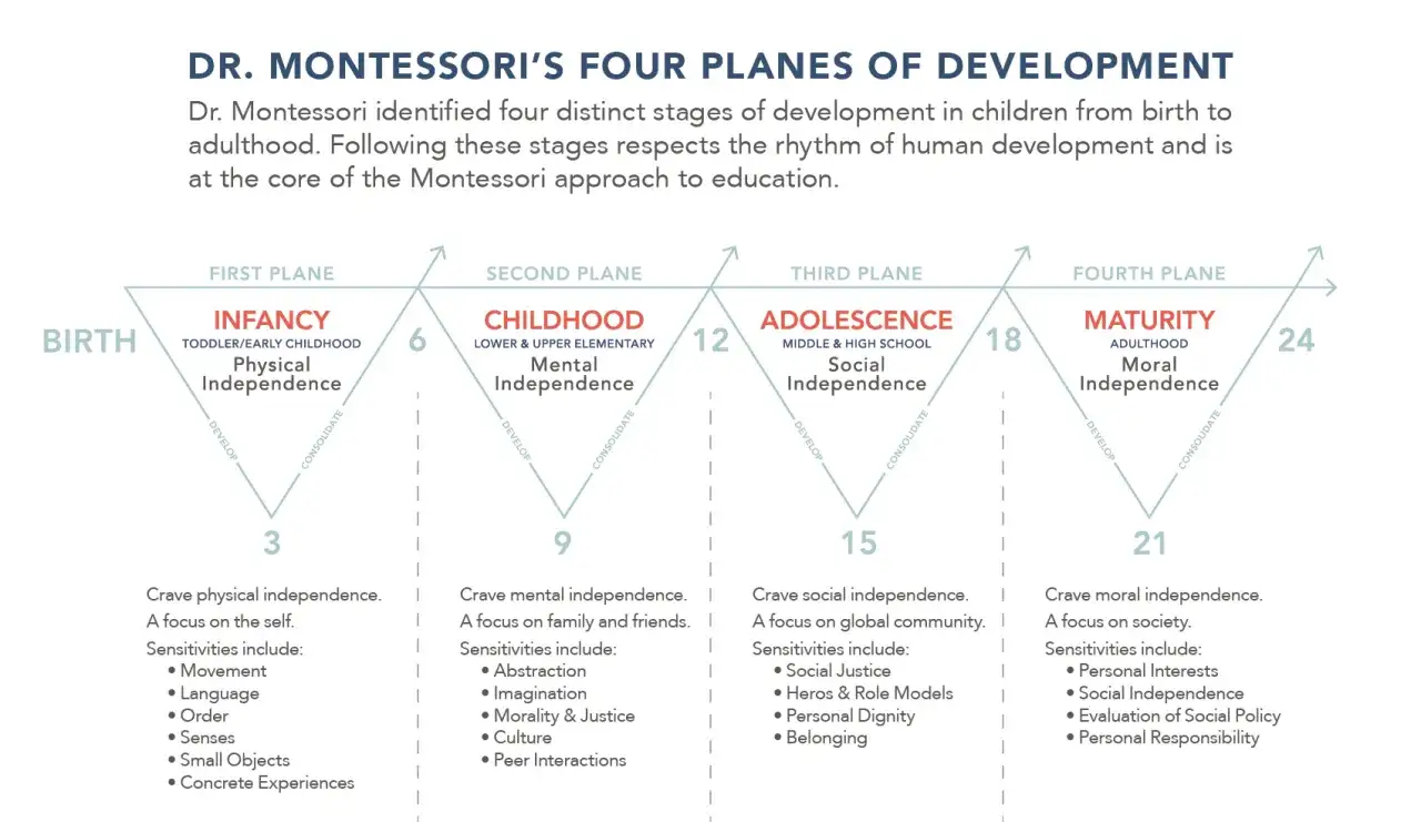 Diagram illustrating Dr. Montessori's four planes of development: Infancy, Childhood, Adolescence, and Maturity, detailing age ranges and key developmental focuses.