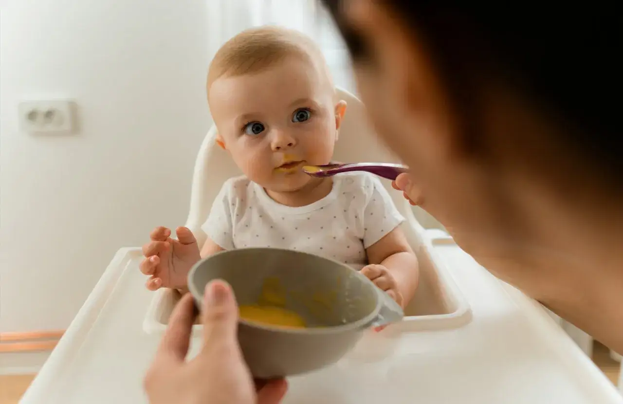 A baby sits in a high chair, eyes wide as a spoon offers a taste of baby food. This marks the exciting stage when babies start to eat baby food.