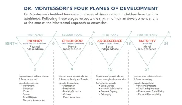 Diagram illustrating Dr. Montessori's four planes of development: Infancy, Childhood, Adolescence, and Maturity, detailing age ranges and key developmental focuses.