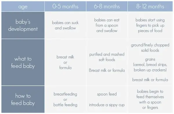 Chart shows when babies start to eat baby food: 6-8 months for pureed foods, 8-12 months for finger foods.